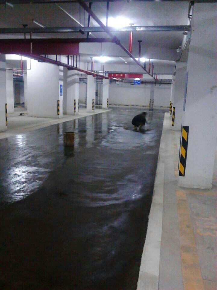 廣東云浮恒大城1#地下室停車場通道地坪漆工程施工進(jìn)程